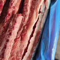 多肉龙骨4.5一斤