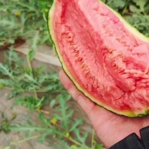 冰糖翠玉西瓜皮薄甜嘎嘎
