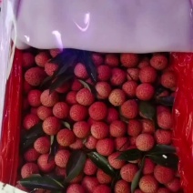 湛江桂味
