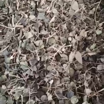 绣花针