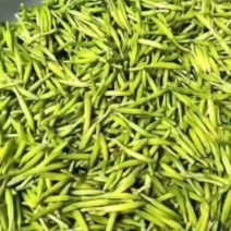 黄花菜有量了需要的联系我