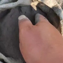 壳糠草木灰