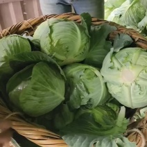大量供应威宁奥奇丽产地直发一手货源支持视频看货欢迎来电