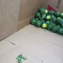 露天美都，红密西瓜