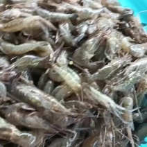 河虾