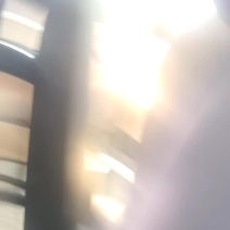 银杏树