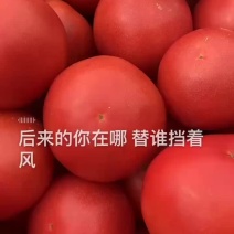 大量现货