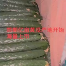 大量上市