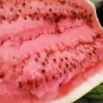 新疆硒砂瓜