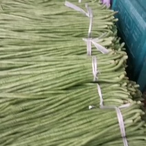 精品长豆角