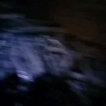 纯果木木炭