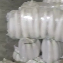 青岛莱西白萝卜