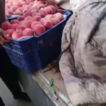 突围桃