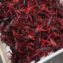 小龙虾，大闸蟹