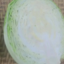 精品甘蓝