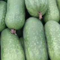 冬瓜