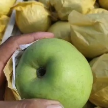 苏翠一号梨大量上市，口感脆甜，欢迎全国各地的客户前来采购