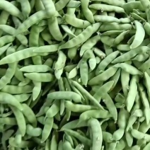 油豆角老怀德油豆角