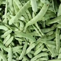 吉林油豆角之乡万亩基地欢迎全国老板前来考察