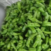 新货芜湖椒