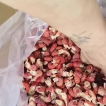 虾尾全级别有货