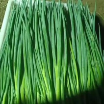 大量现货价格便宜欢迎下单