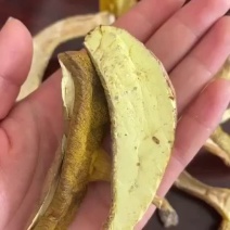 牛肝菌质量优有现货欢迎进店选购