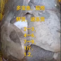 多宝鱼