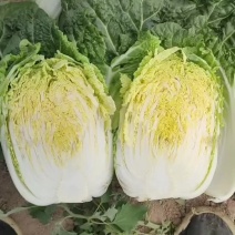 白菜