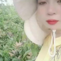 奈李大量上市有需要的联系