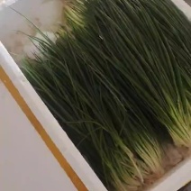 无染色小葱供应链