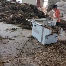 合欢皮大量供应货源充足量大从优可全国发货欢迎咨询