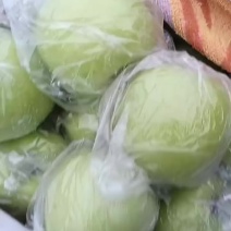 江苏丰县早熟苹果以大量上市，品种华硕青苹果