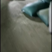 花椒叶子粉