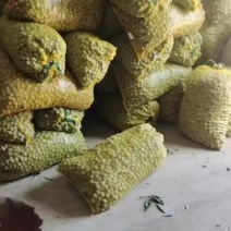 巴旦木新鲜巴旦木一手货源。货源充足