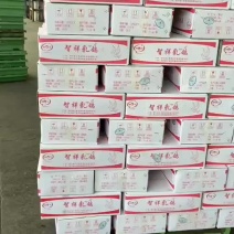 乳鸽，白条乳鸽，冷冻乳鸽，鸽子肉，6-9两有货