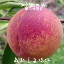 生态黄肉桃即将上市