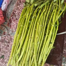 博白空心菜大量供应产地直销量大价格便宜