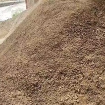 发酵散装牛粪
