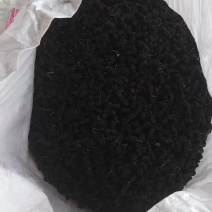 河北省精品黑桑葚干