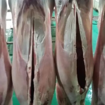 【一件代发】内蒙草地滩羊肉，可全国发货。招内蒙羊肉代理