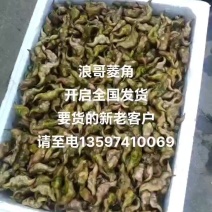湖北菱角