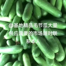 广西青皮毛节瓜，硬皮，大量有货上市中，。