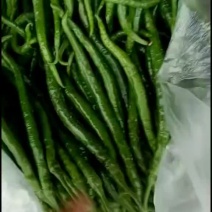 2荆条大量上市，有需要的联系。