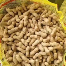 鲜花生