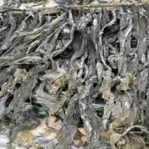 干海带散菜海带无沙海带海带片短板菜长板菜产地直接发货