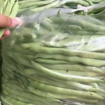 高山精品四季豆大量有货质量保证售后无忧欢迎咨询