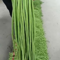 精品长豆角
