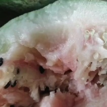 打瓜