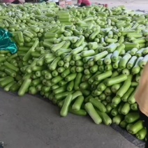 瓠瓜精品